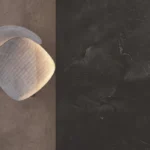 Avacado - Imagen 2