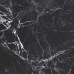 Black Panther - Image 2
