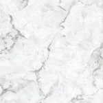 Oyster Bianco - Image 2